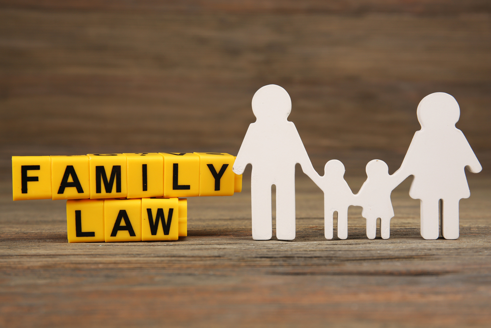 You are currently viewing Understanding Common Terms in Family Law